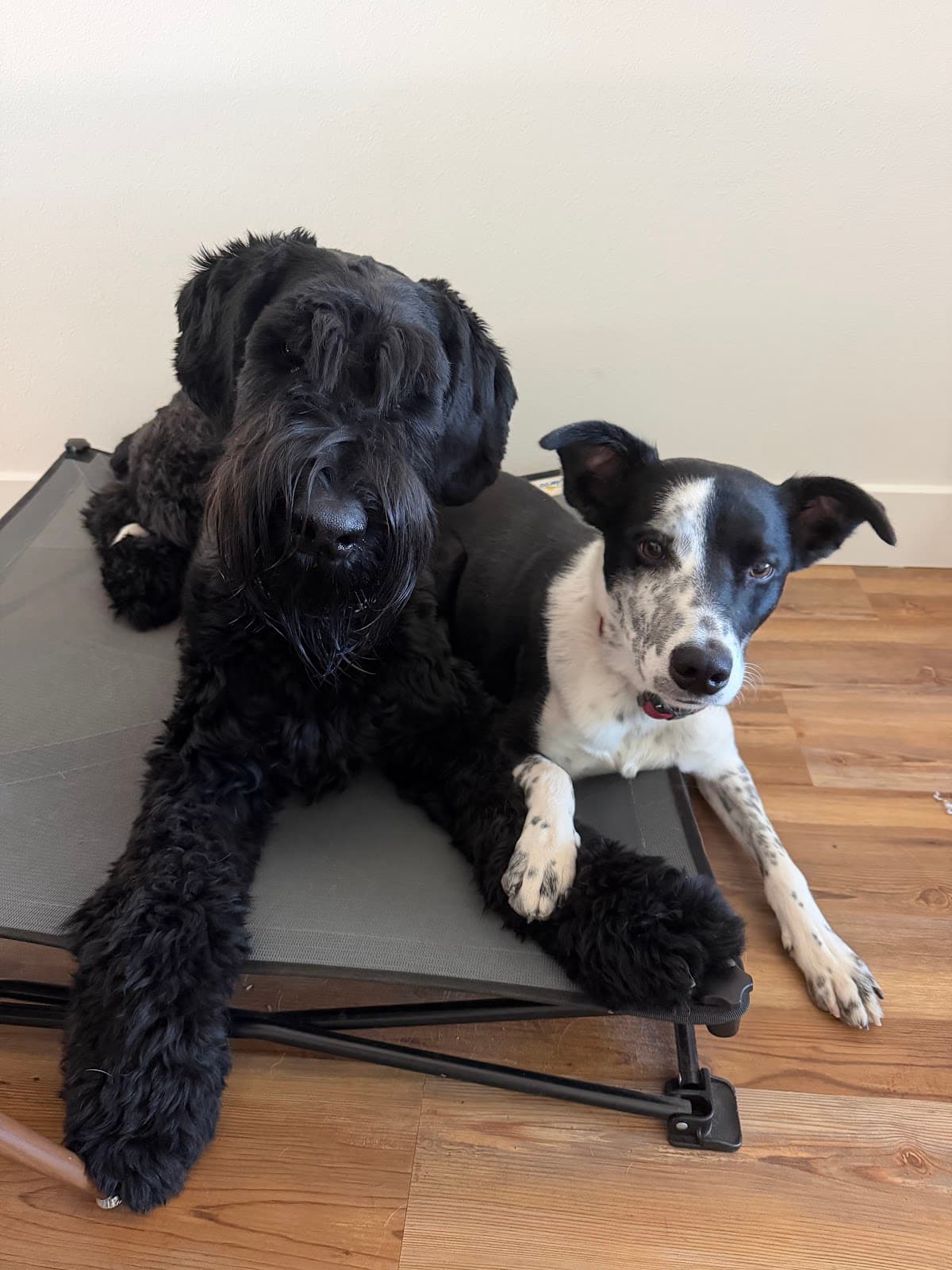 Photo from Malissa Baum's review