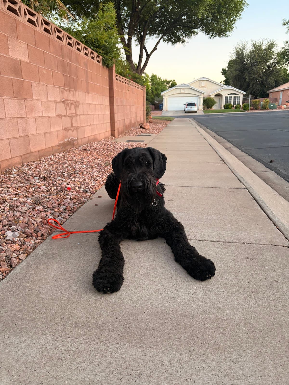 Photo from Malissa Baum's review