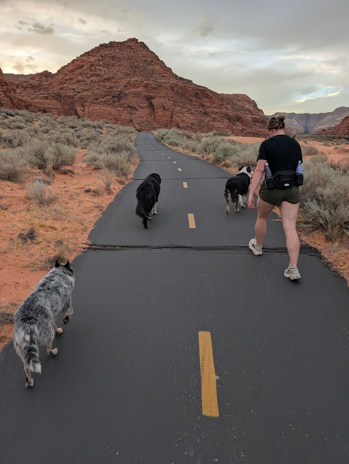 Photo from Whitney Spencer's review