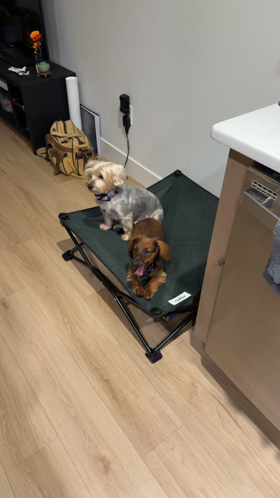 Photo from Kenadey Egley's review