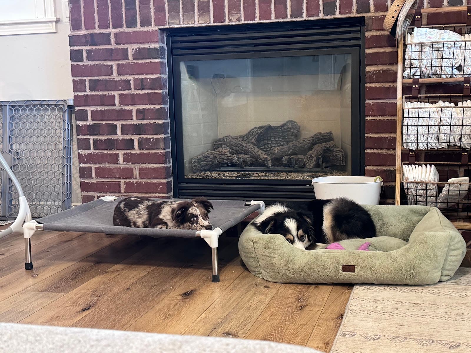 Photo from Kennedee Jensen's review